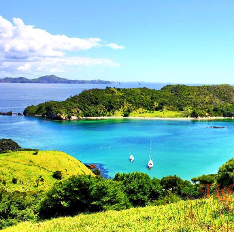nova zelandia bay of islands