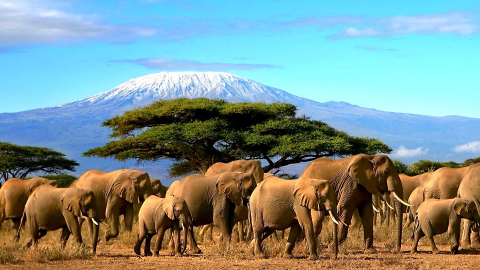 Kenya e Tanz&acirc;nia